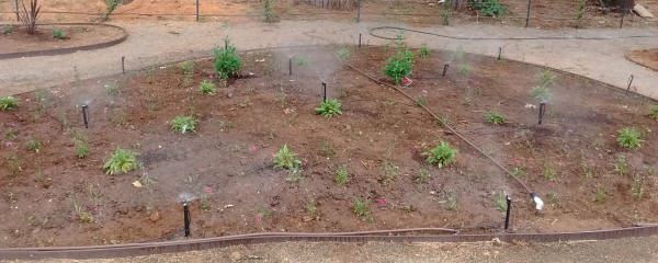 Bed C Irrigation Equipment