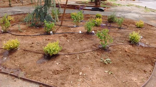 Bed E Irrigation Equipment