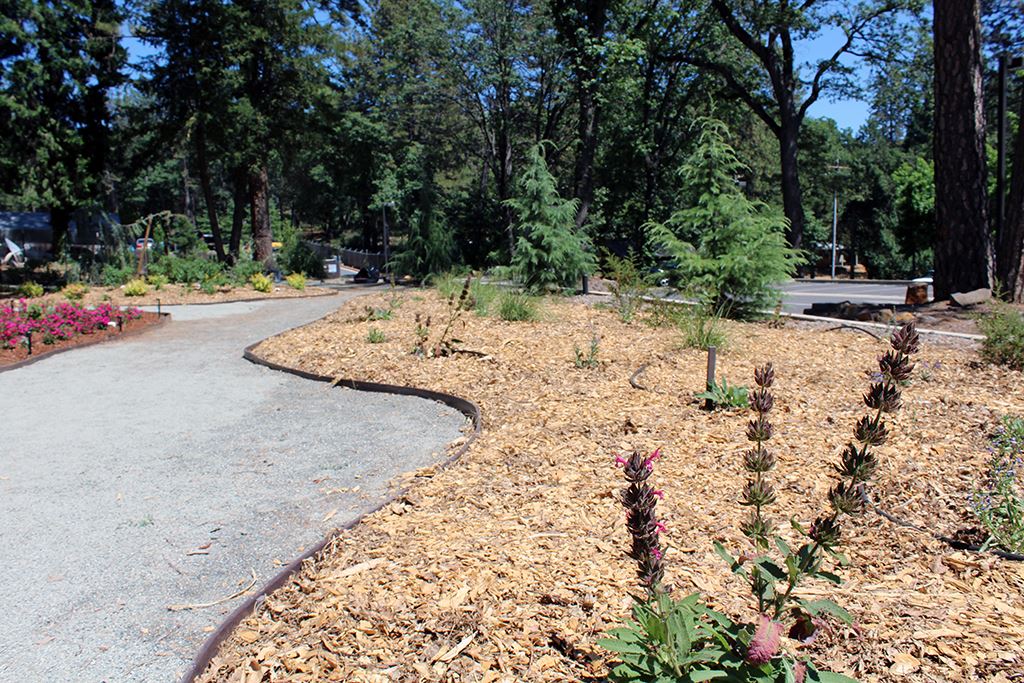 Explore Bed E - Natives