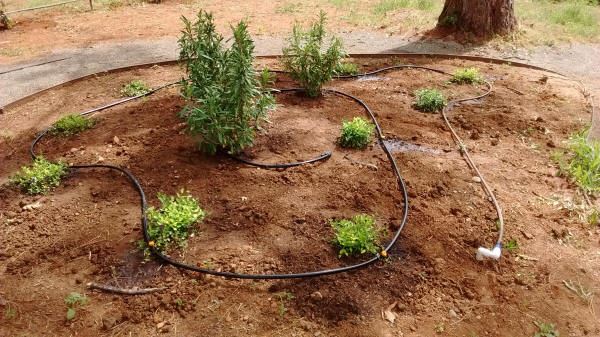 Bed F Irrigation Equipment